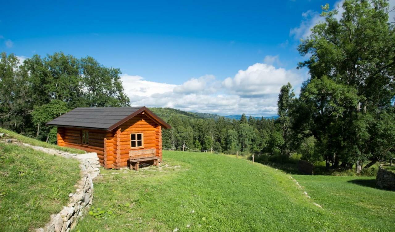 Wellness Hotel Florian Ceske Zleby Stožec Buitenkant foto